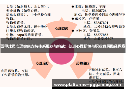 西甲球员心理健康支持体系现状与挑战:促进心理韧性与职业发展路径探索 西甲球员心理健康支持体系现状与挑战:促进心理韧性与职业发展路径探索