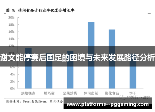 谢文能停赛后国足的困境与未来发展路径分析