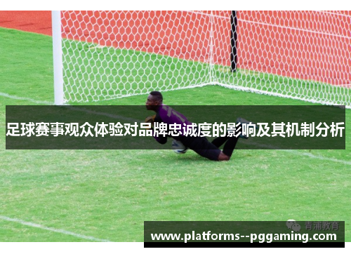 足球赛事观众体验对品牌忠诚度的影响及其机制分析