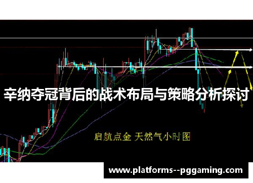 辛纳夺冠背后的战术布局与策略分析探讨