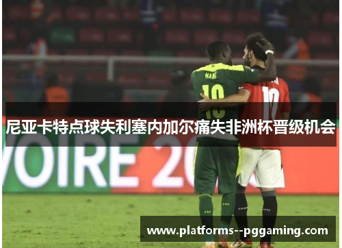 尼亚卡特点球失利塞内加尔痛失非洲杯晋级机会